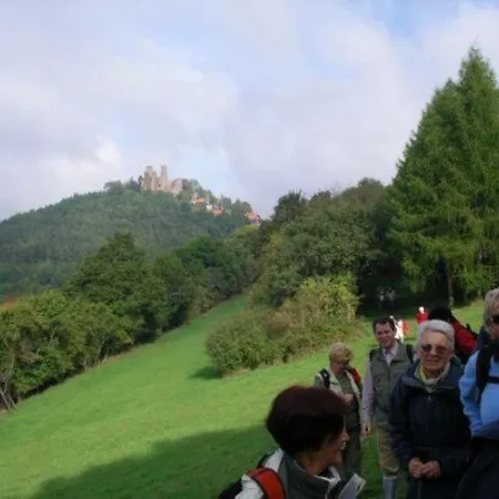 Type Robinson * Ronshausen