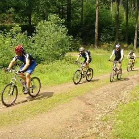 Type Robinson * Ronshausen