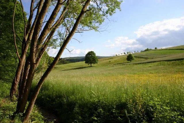 منتجع Type Robinson *