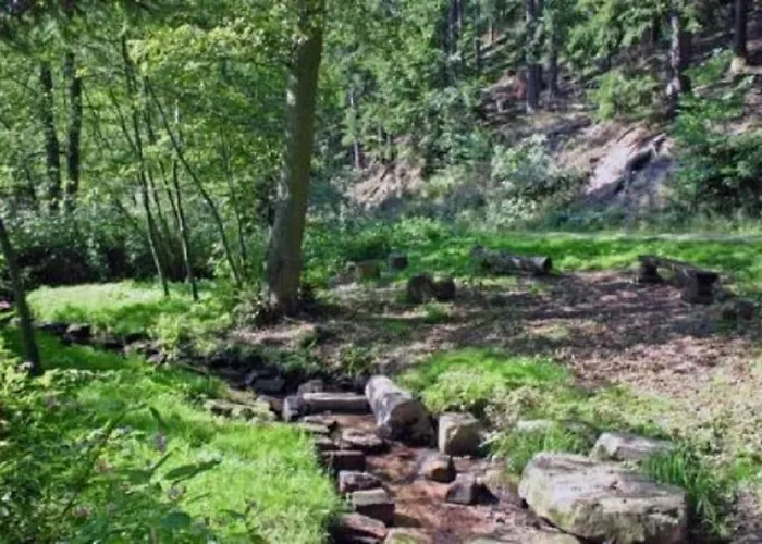 Type Robinson منتجع